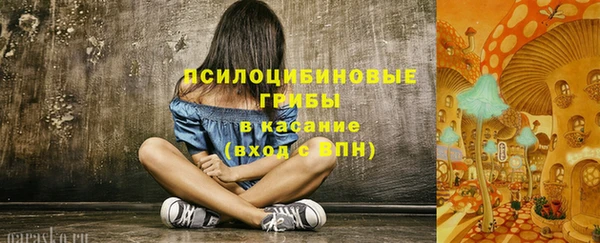 тгк Алексеевка