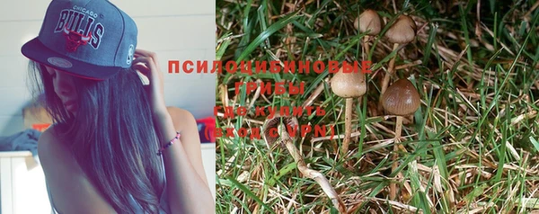 дмт Абинск