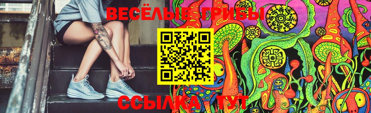 Галлюциногенные грибы Psilocybine cubensis Десногорск