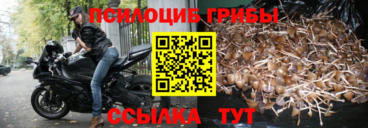 Десногорск  Галлюциногенные грибы мухоморы  как найти закладки  Псилоцибиновые грибы Magic Shrooms  Вход с VPN 