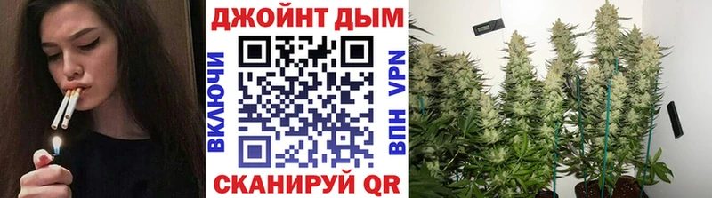 Канабис MAZAR  где найти   Десногорск 