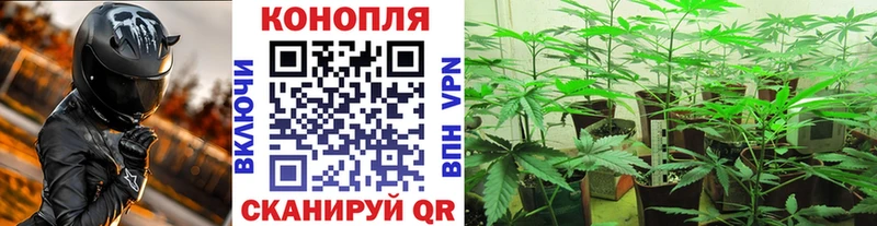 Бошки марихуана тримм Десногорск